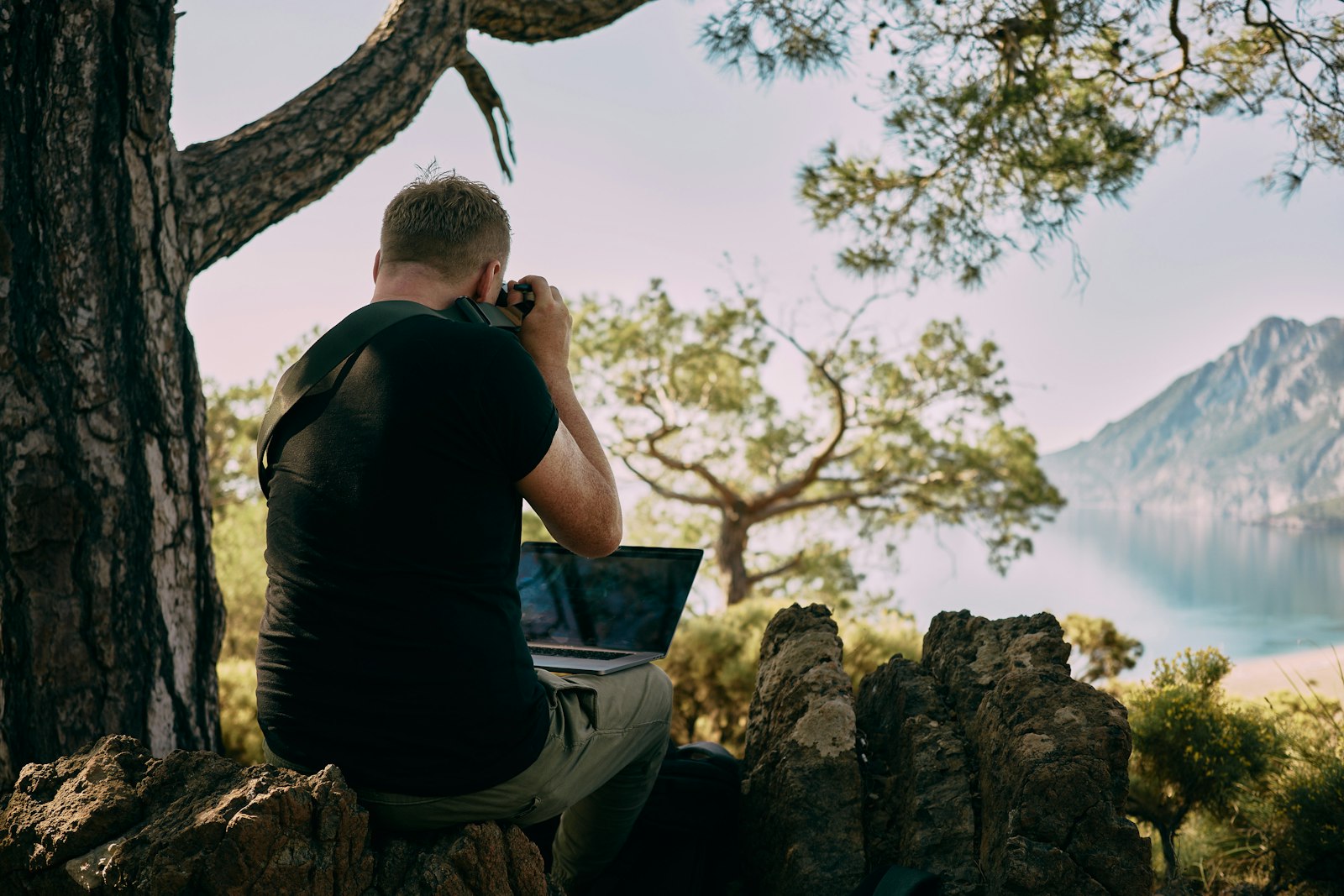 A man sitting on top of a rock next to a tree